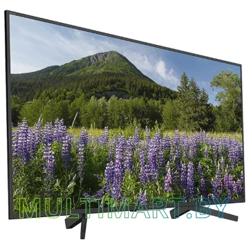 Телевизор Sony KD-43XF7096 картинка 2